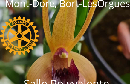 26 et 27 Avril 2025,  2ème salon des Orchidées du Club de la Bourboule, Le Mont Dore, Bort les Orgues, en faveur des écoles.